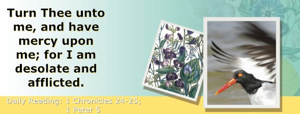 https://bibletruthpublishers.com/ComfortOfScriptures/wp-content/uploads/cos-hdg-2021-332.jpg