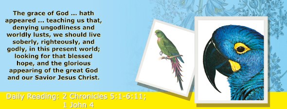 https://bibletruthpublishers.com/ComfortOfScriptures/wp-content/uploads/cos-hdg-2021-339.jpg