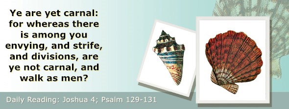 https://bibletruthpublishers.com/ComfortOfScriptures/wp-content/uploads/cos-hdg-2022-183.jpg