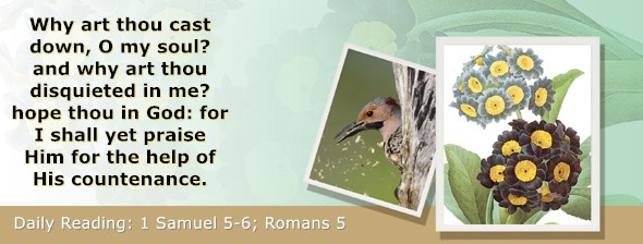 https://bibletruthpublishers.com/ComfortOfScriptures/wp-content/uploads/cos-hdg-2022-227.jpg