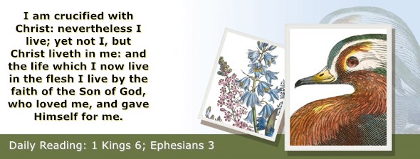 https://bibletruthpublishers.com/ComfortOfScriptures/wp-content/uploads/cos-hdg-2022-276.jpg