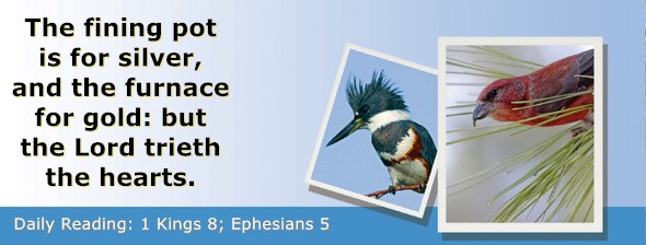 https://bibletruthpublishers.com/ComfortOfScriptures/wp-content/uploads/cos-hdg-2022-278.jpg