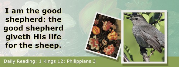 https://bibletruthpublishers.com/ComfortOfScriptures/wp-content/uploads/cos-hdg-2022-282.jpg