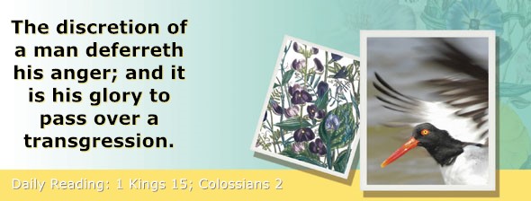 https://bibletruthpublishers.com/ComfortOfScriptures/wp-content/uploads/cos-hdg-2022-285.jpg