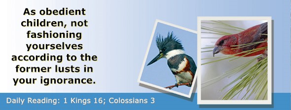 https://bibletruthpublishers.com/ComfortOfScriptures/wp-content/uploads/cos-hdg-2022-286.jpg