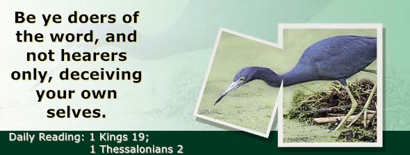 https://bibletruthpublishers.com/ComfortOfScriptures/wp-content/uploads/cos-hdg-2022-289.jpg