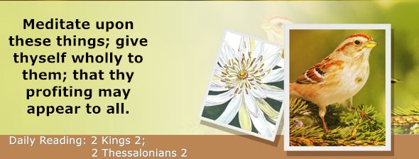 https://bibletruthpublishers.com/ComfortOfScriptures/wp-content/uploads/cos-hdg-2022-294.jpg