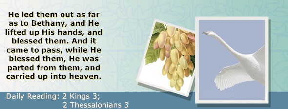 https://bibletruthpublishers.com/ComfortOfScriptures/wp-content/uploads/cos-hdg-2022-295.jpg