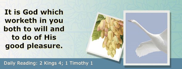 https://bibletruthpublishers.com/ComfortOfScriptures/wp-content/uploads/cos-hdg-2022-296.jpg
