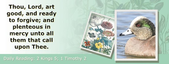 https://bibletruthpublishers.com/ComfortOfScriptures/wp-content/uploads/cos-hdg-2022-297.jpg