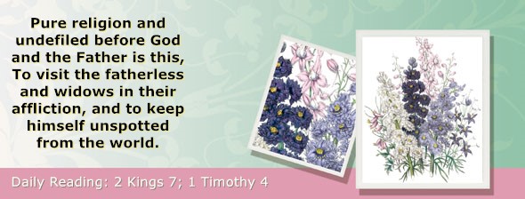 https://bibletruthpublishers.com/ComfortOfScriptures/wp-content/uploads/cos-hdg-2022-299.jpg
