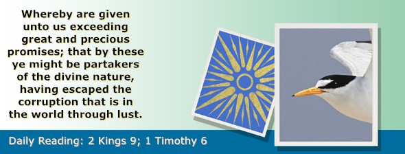 https://bibletruthpublishers.com/ComfortOfScriptures/wp-content/uploads/cos-hdg-2022-301.jpg