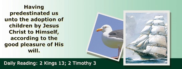 https://bibletruthpublishers.com/ComfortOfScriptures/wp-content/uploads/cos-hdg-2022-304.jpg