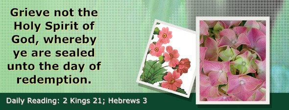 https://bibletruthpublishers.com/ComfortOfScriptures/wp-content/uploads/cos-hdg-2022-312.jpg