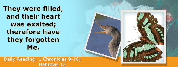 https://bibletruthpublishers.com/ComfortOfScriptures/wp-content/uploads/cos-hdg-2022-321.jpg