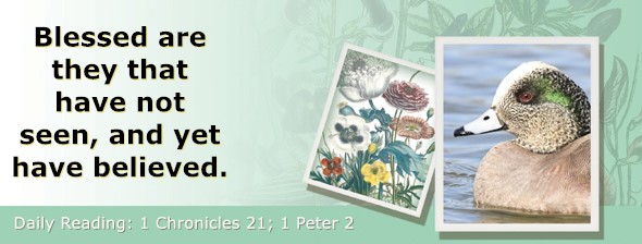 https://bibletruthpublishers.com/ComfortOfScriptures/wp-content/uploads/cos-hdg-2022-329.jpg