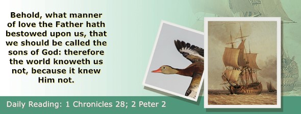 https://bibletruthpublishers.com/ComfortOfScriptures/wp-content/uploads/cos-hdg-2022-334.jpg