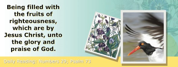 https://bibletruthpublishers.com/ComfortOfScriptures/wp-content/uploads/cos-hdg-2023-140.jpg