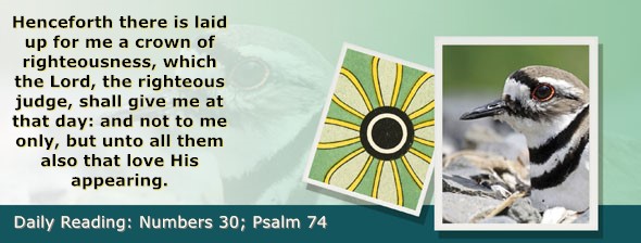 https://bibletruthpublishers.com/ComfortOfScriptures/wp-content/uploads/cos-hdg-2023-141.jpg