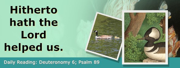 https://bibletruthpublishers.com/ComfortOfScriptures/wp-content/uploads/cos-hdg-2023-153.jpg