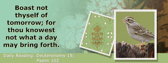 https://bibletruthpublishers.com/ComfortOfScriptures/wp-content/uploads/cos-hdg-2023-161.jpg