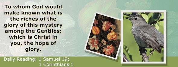 https://bibletruthpublishers.com/ComfortOfScriptures/wp-content/uploads/cos-hdg-2023-239.jpg