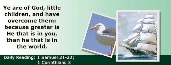 https://bibletruthpublishers.com/ComfortOfScriptures/wp-content/uploads/cos-hdg-2023-241.jpg
