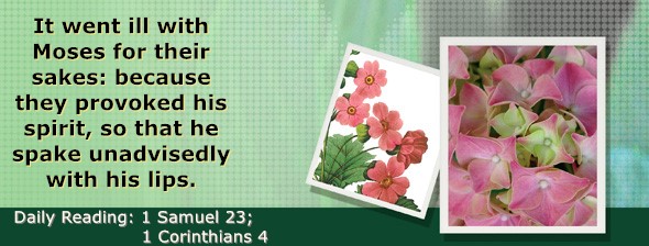 https://bibletruthpublishers.com/ComfortOfScriptures/wp-content/uploads/cos-hdg-2023-242.jpg
