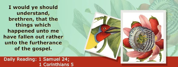 https://bibletruthpublishers.com/ComfortOfScriptures/wp-content/uploads/cos-hdg-2023-243.jpg