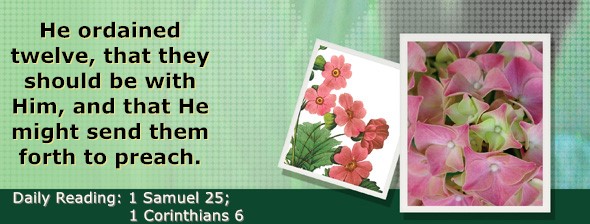 https://bibletruthpublishers.com/ComfortOfScriptures/wp-content/uploads/cos-hdg-2023-244.jpg