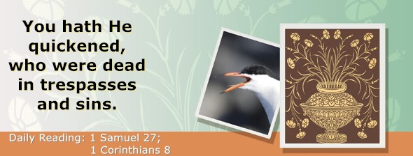 https://bibletruthpublishers.com/ComfortOfScriptures/wp-content/uploads/cos-hdg-2023-246.jpg
