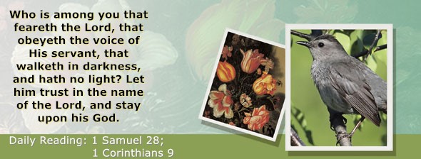 https://bibletruthpublishers.com/ComfortOfScriptures/wp-content/uploads/cos-hdg-2023-247.jpg