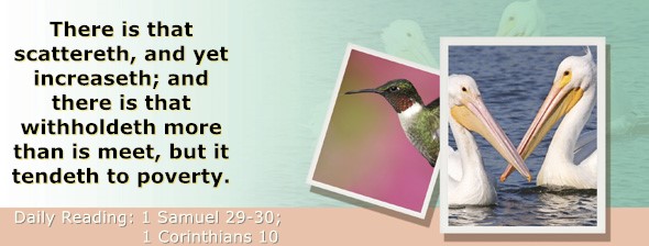 https://bibletruthpublishers.com/ComfortOfScriptures/wp-content/uploads/cos-hdg-2023-248.jpg