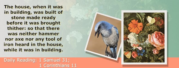 https://bibletruthpublishers.com/ComfortOfScriptures/wp-content/uploads/cos-hdg-2023-249.jpg