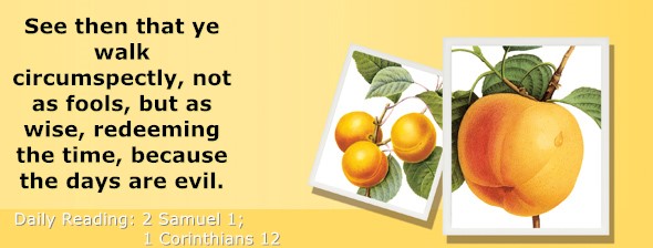 https://bibletruthpublishers.com/ComfortOfScriptures/wp-content/uploads/cos-hdg-2023-250.jpg