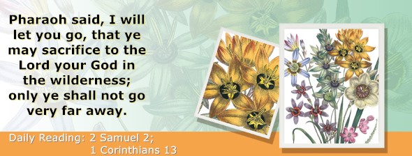 https://bibletruthpublishers.com/ComfortOfScriptures/wp-content/uploads/cos-hdg-2023-251.jpg