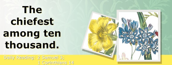 https://bibletruthpublishers.com/ComfortOfScriptures/wp-content/uploads/cos-hdg-2023-252.jpg