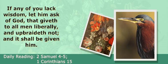 https://bibletruthpublishers.com/ComfortOfScriptures/wp-content/uploads/cos-hdg-2023-253.jpg