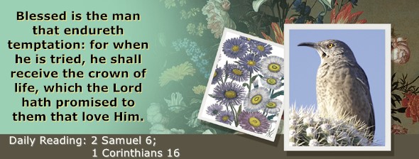 https://bibletruthpublishers.com/ComfortOfScriptures/wp-content/uploads/cos-hdg-2023-254.jpg