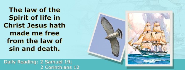 https://bibletruthpublishers.com/ComfortOfScriptures/wp-content/uploads/cos-hdg-2023-266.jpg