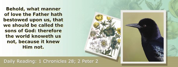 https://bibletruthpublishers.com/ComfortOfScriptures/wp-content/uploads/cos-hdg-2023-334.jpg