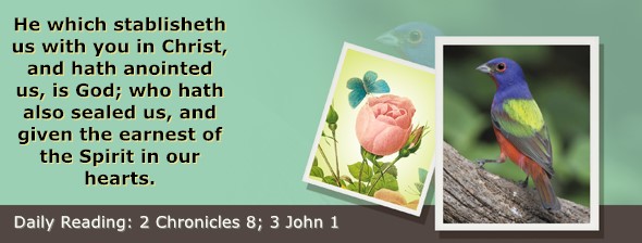 https://bibletruthpublishers.com/ComfortOfScriptures/wp-content/uploads/cos-hdg-2023-342.jpg