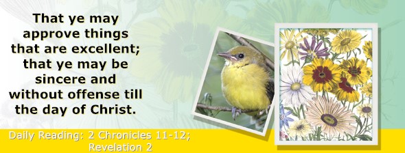 https://bibletruthpublishers.com/ComfortOfScriptures/wp-content/uploads/cos-hdg-2023-345.jpg