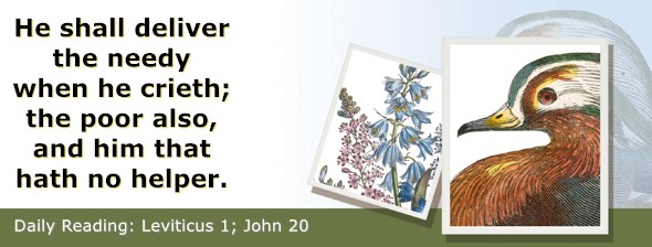https://bibletruthpublishers.com/ComfortOfScriptures/wp-content/uploads/cos-hdg-2024-090.jpg