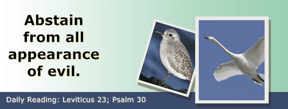 https://bibletruthpublishers.com/ComfortOfScriptures/wp-content/uploads/cos-hdg-2024-110.jpg