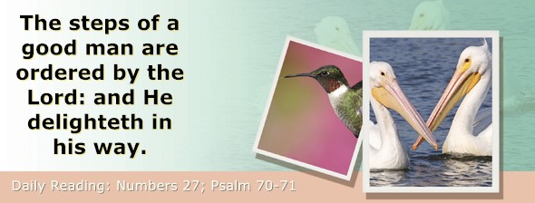 https://bibletruthpublishers.com/ComfortOfScriptures/wp-content/uploads/cos-hdg-2024-139.jpg