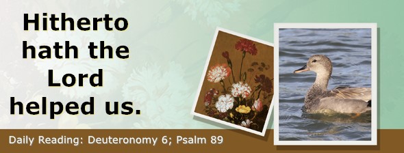 https://bibletruthpublishers.com/ComfortOfScriptures/wp-content/uploads/cos-hdg-2024-154.jpg