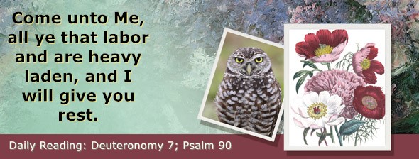 https://bibletruthpublishers.com/ComfortOfScriptures/wp-content/uploads/cos-hdg-2024-155.jpg