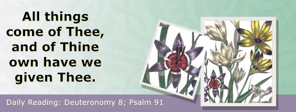 https://bibletruthpublishers.com/ComfortOfScriptures/wp-content/uploads/cos-hdg-2024-156.jpg