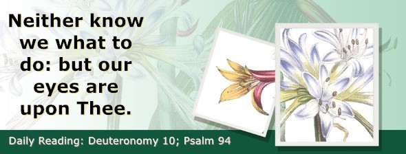 https://bibletruthpublishers.com/ComfortOfScriptures/wp-content/uploads/cos-hdg-2024-158.jpg